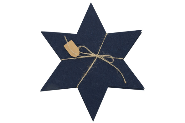 Ster Cutlery donkerblauw Set van 4