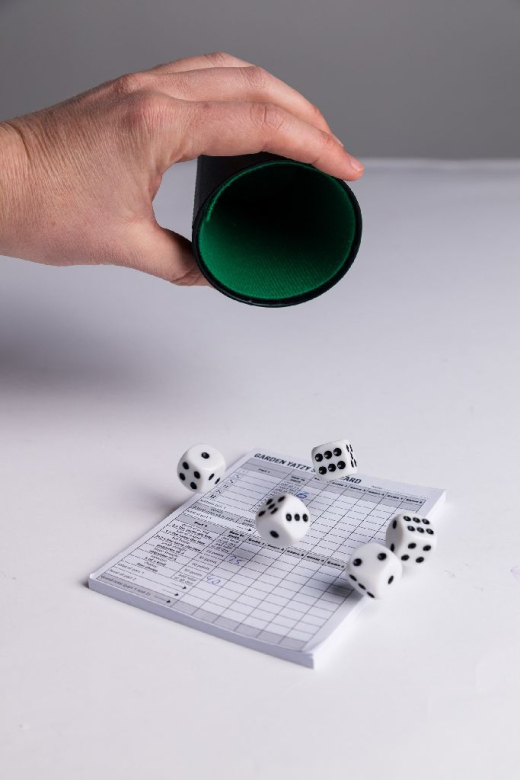 Dobbelset + scoreblok