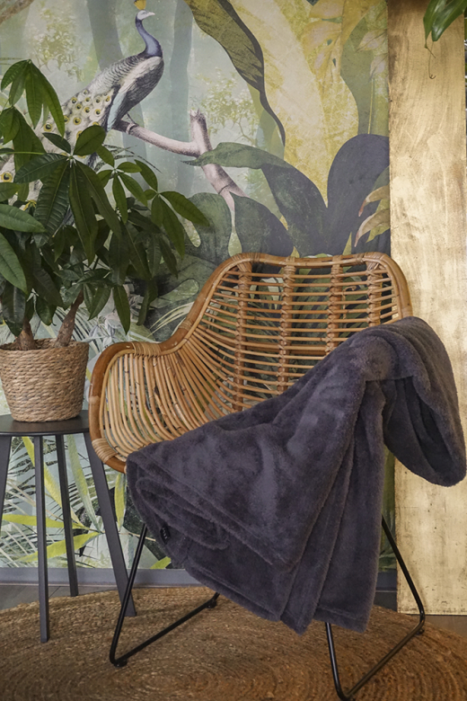 Plaid Wellsoft 125*150 Antra