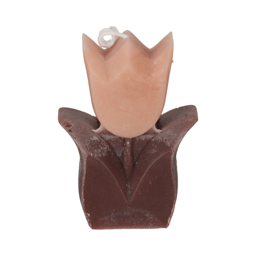 Tulp Kaarsen Taupe/Zwart set van 2