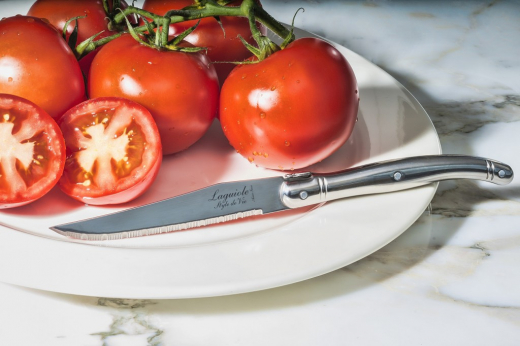 Premium Line steakmessen RVS