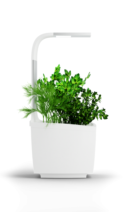 Binnentuin met ledverlichting T3