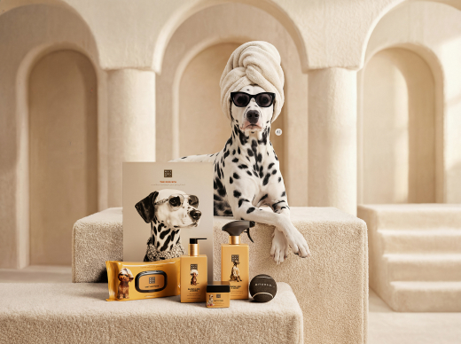 Dog Wellness Pack
