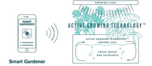 Binnentuin met ledverlichting T3