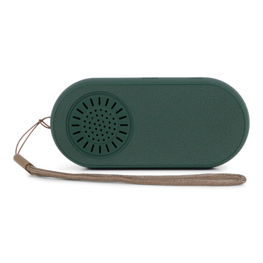 2-in-1 Earbuds & Speaker Groen