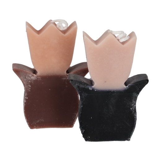 Tulp Kaarsen Taupe/Zwart set van 2