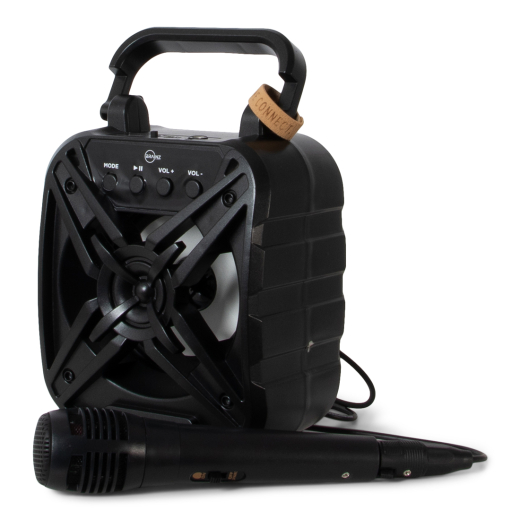 Karaoke Speaker Wheatstraw