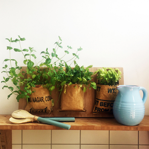 Let it grow hanging bag  Basilicum