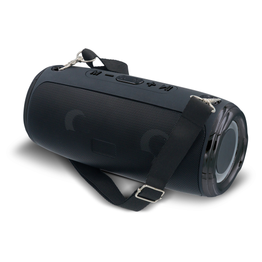 Large speaker with shoulder strap 20W