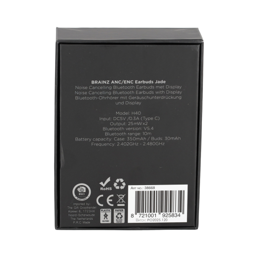 ANC/ENC Display Earbuds Jade Zwart