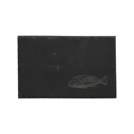 Leistenen Serveerplankjes Zee set van 4