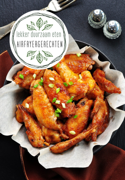 Airfryer Lekker duurzaam eten