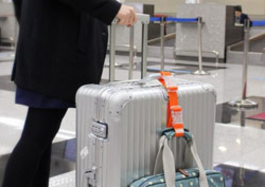 Luggage porter mini zwart