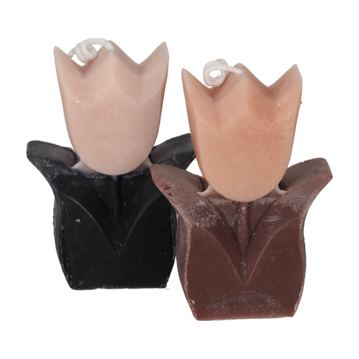 Tulp Kaarsen Taupe/Zwart set van 2