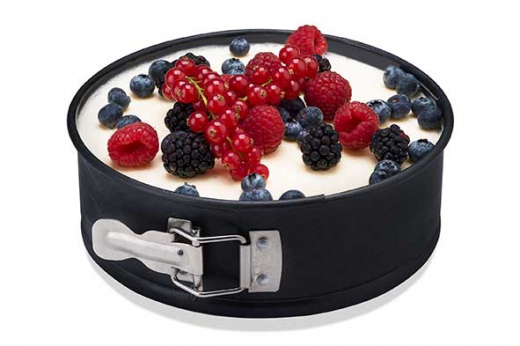 Co&Tr Springvorm D20cm non-stick