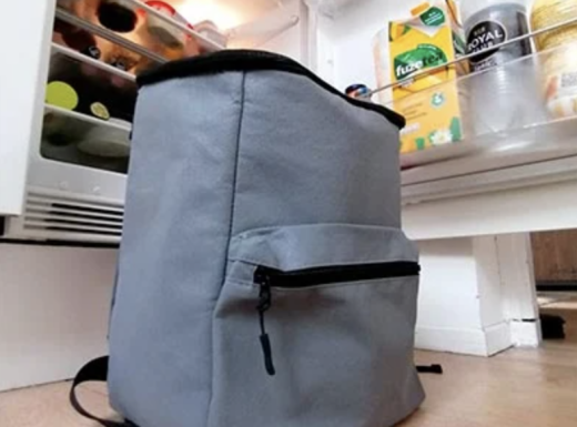 Fridgebag backpack