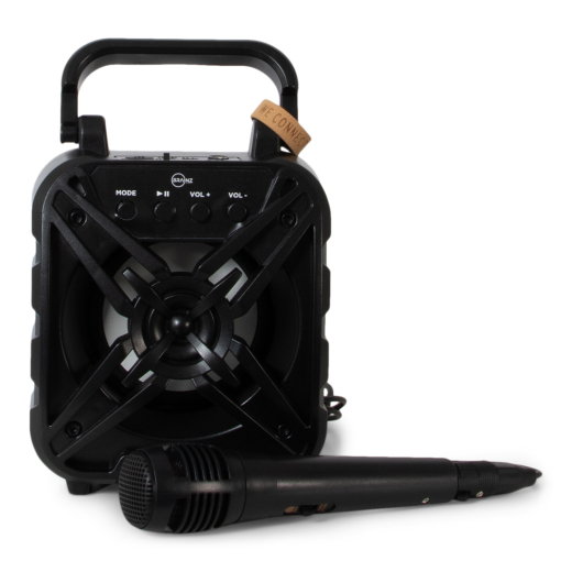 Karaoke Speaker Wheatstraw