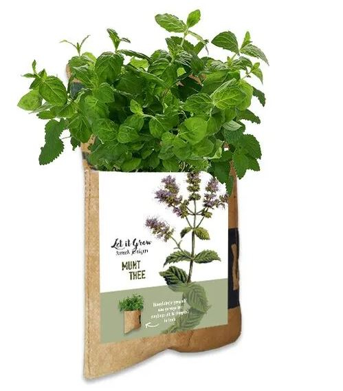 Let it grow hangtuintje munt