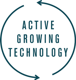 Binnentuin met ledverlichting T3