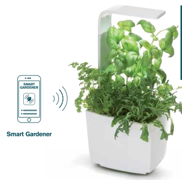 Binnentuin met ledverlichting T3