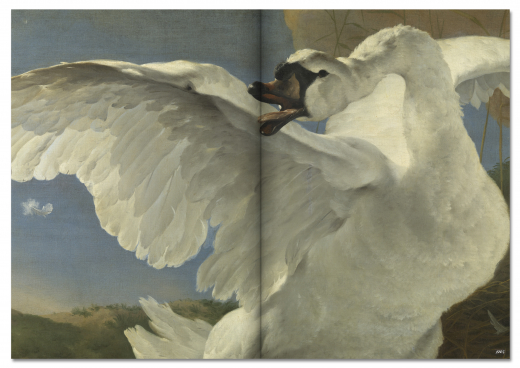 Boek Rijks, Masters of the Golden Age