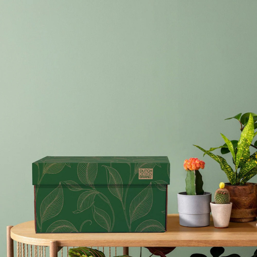 Storage Box Classic Green Forest NEW