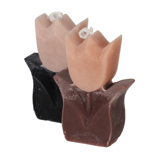 Tulp Kaarsen Taupe/Zwart set van 2