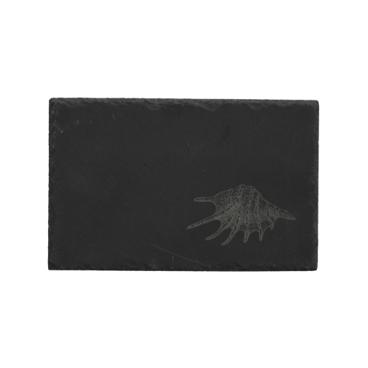 Leistenen Serveerplankjes Zee set van 4