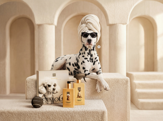 Dog Essentials Set
