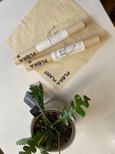 Bees wrap 20 x 20 cm RESCUED