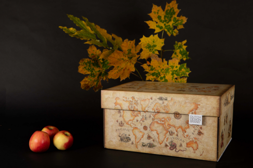 Dutch Design Storage Box Ancient World Map