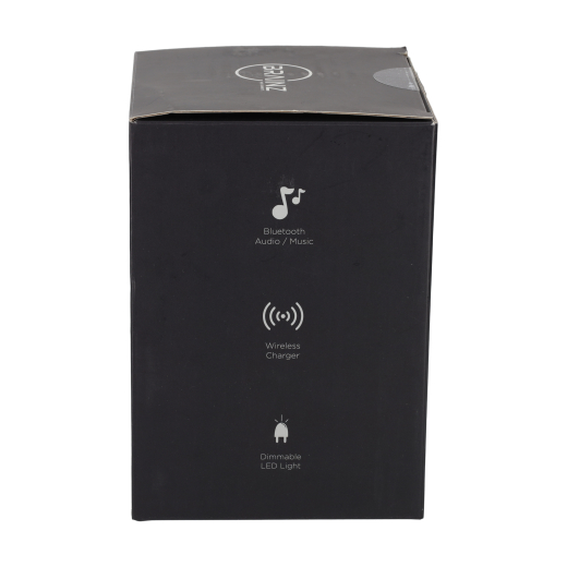 5 in 1 Charging Speaker Zwart